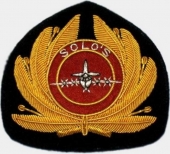 Blazer Badge